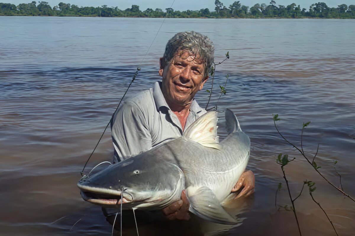 Pescador com uma Piraíba no Rio Araguaia, em Luiz Alves (GO)
